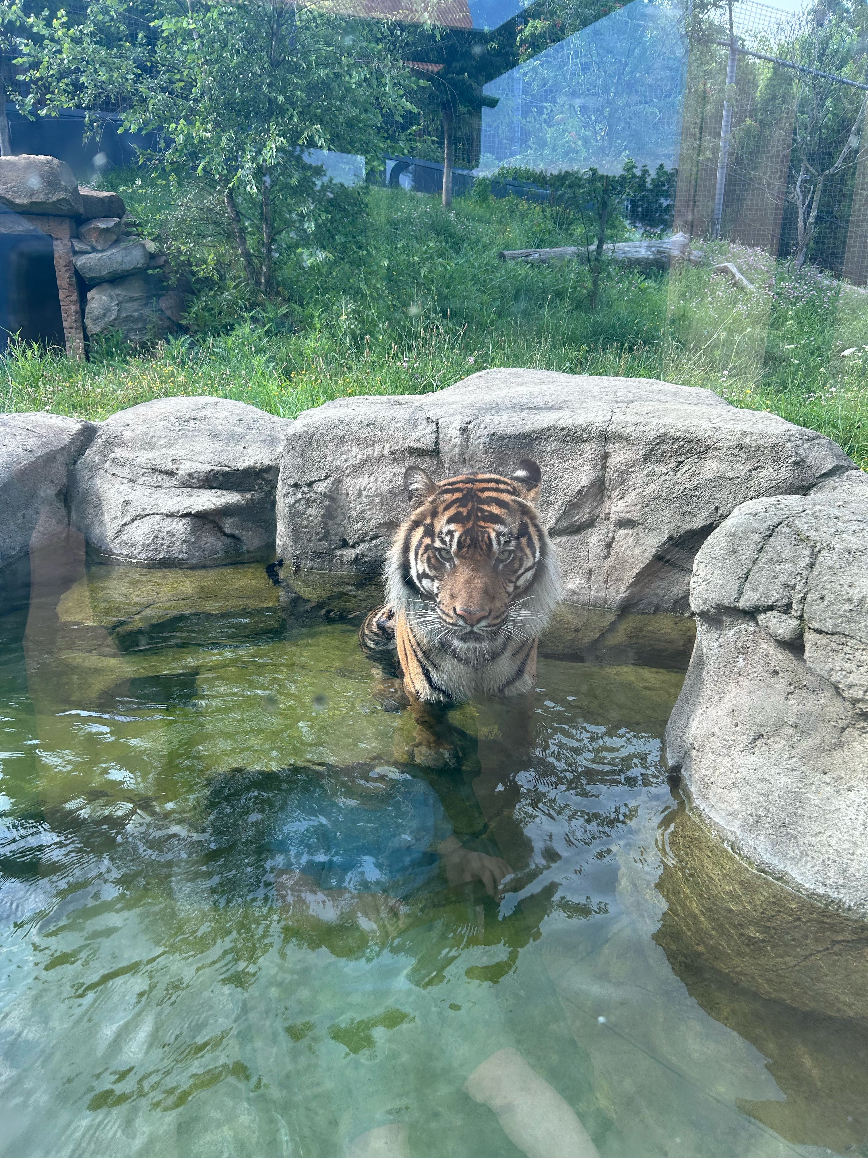 rutherfordnd on One Bite Pizza App