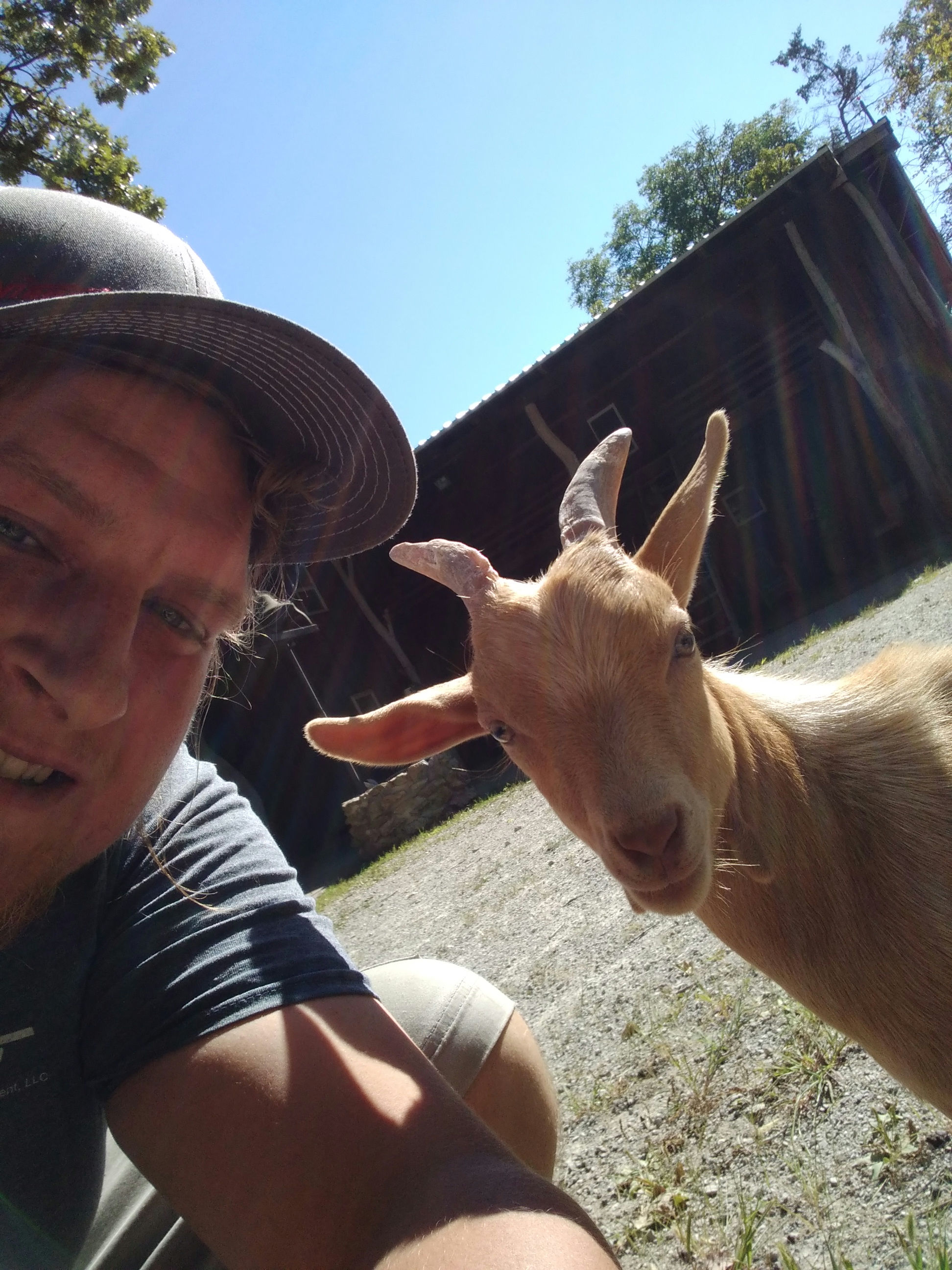 aaron.acosta on One Bite Pizza App