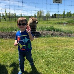 lawrence.wright on One Bite Pizza App