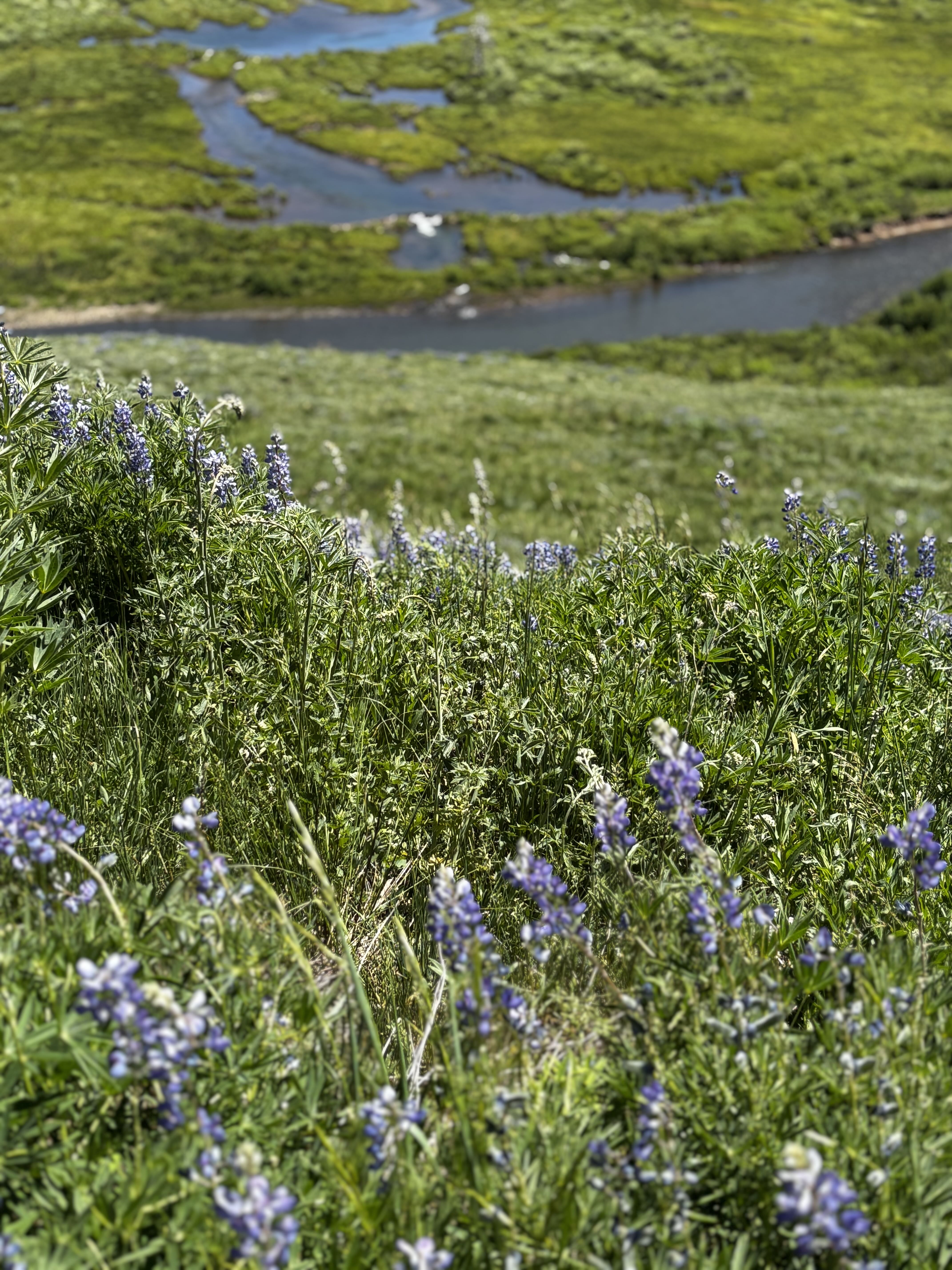 mjk02040 on One Bite Pizza App