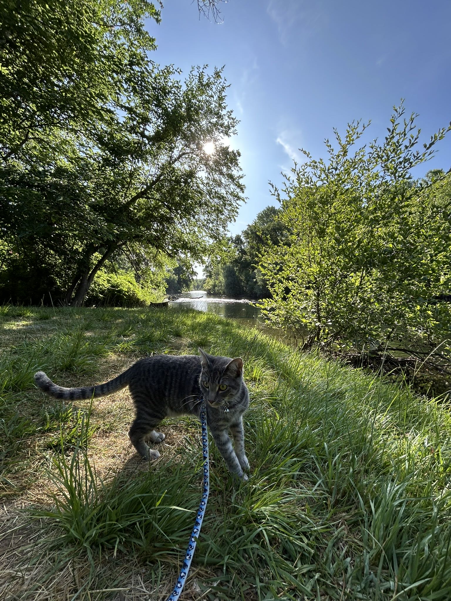 iron_skittle on One Bite Pizza App