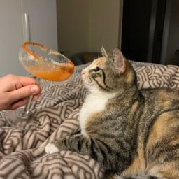 sicily_za on One Bite Pizza App