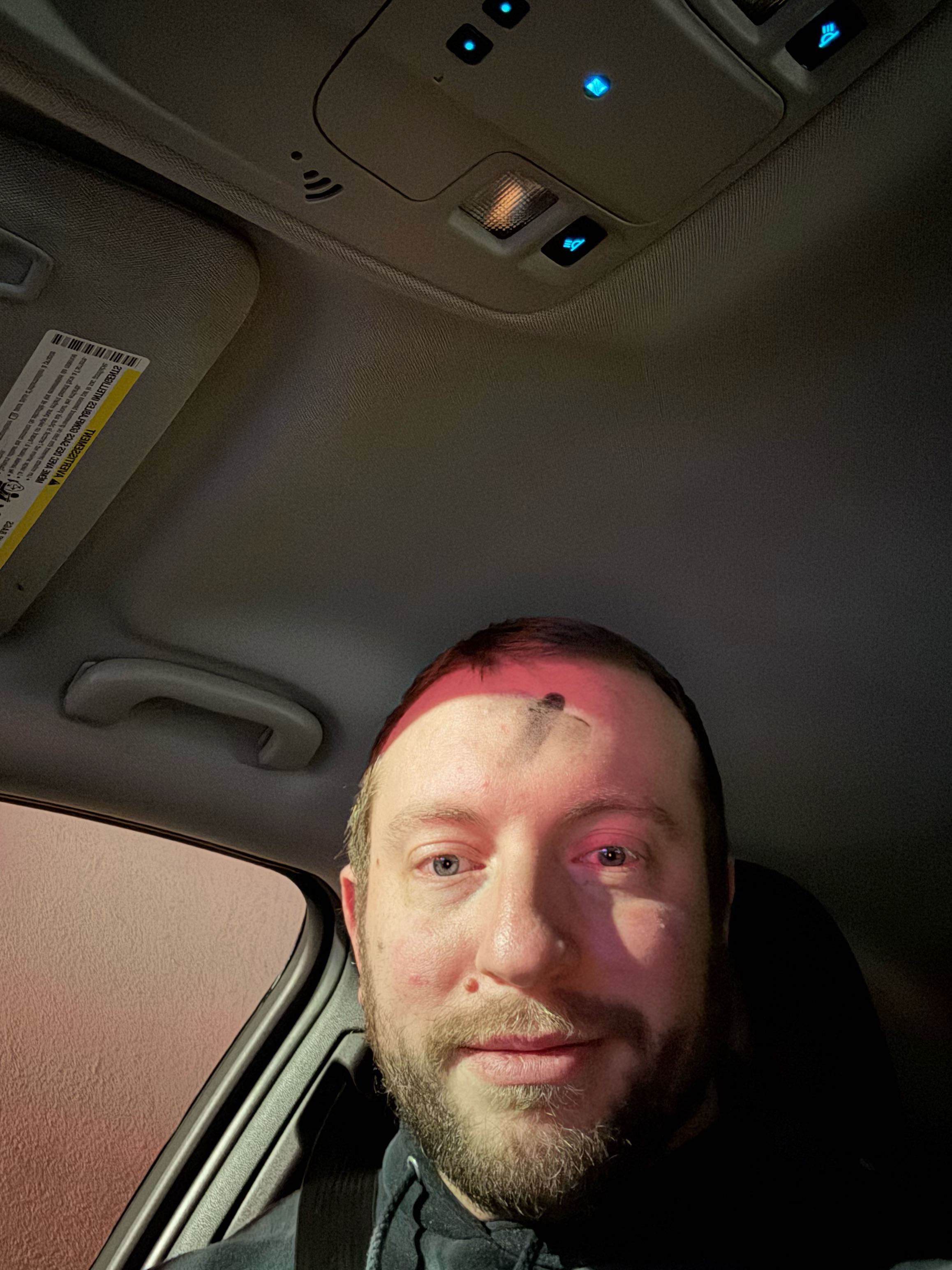 ian.maclean2 on One Bite Pizza App