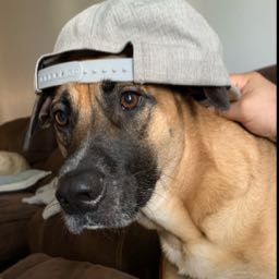 charles.nicastro on One Bite Pizza App