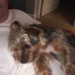 mike.anderson25 on One Bite Pizza App