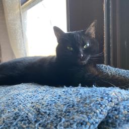 eric.edmondson on One Bite Pizza App