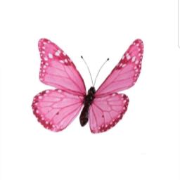 ryan.concannon on One Bite Pizza App