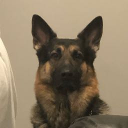 trais on One Bite Pizza App