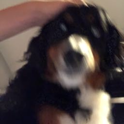 nickkelley on One Bite Pizza App