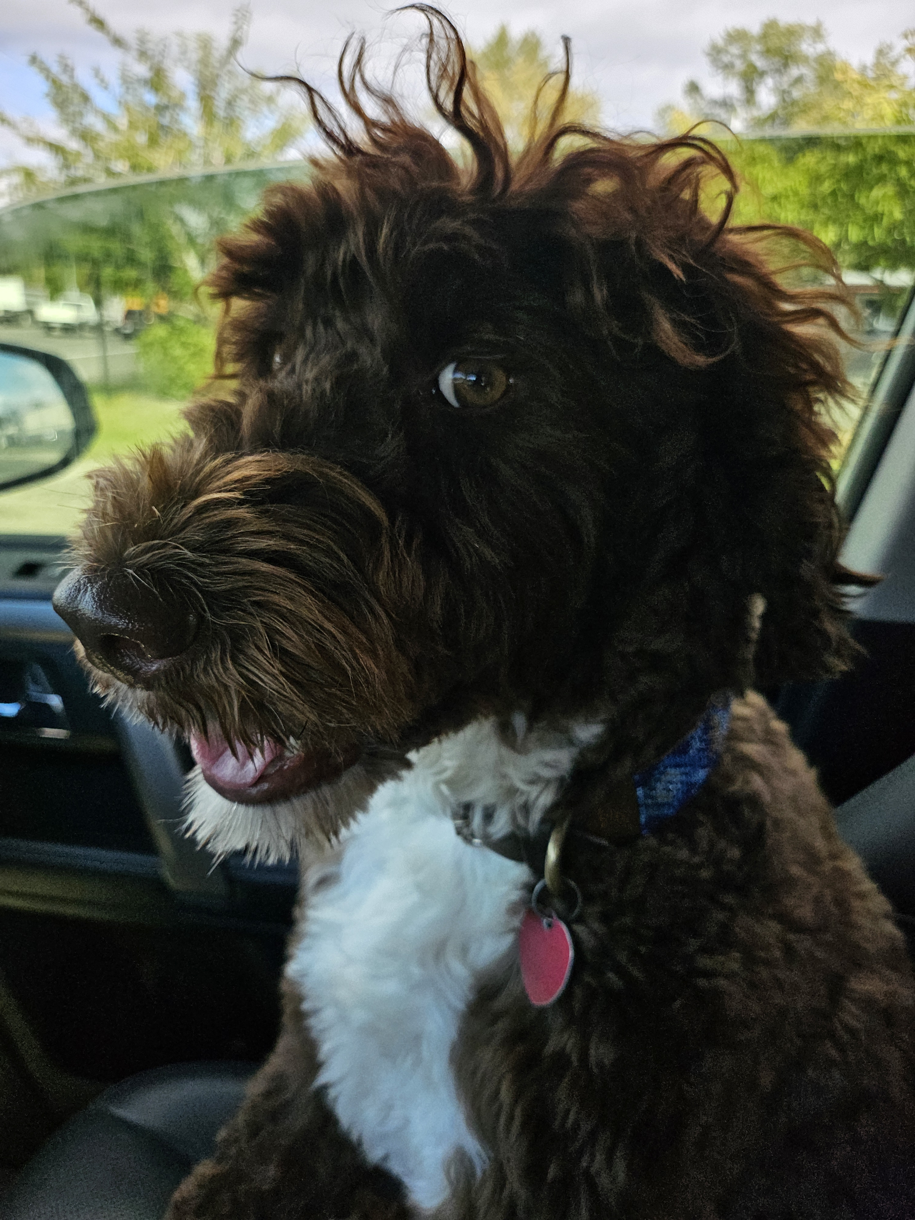 rodeo.jones1 on One Bite Pizza App