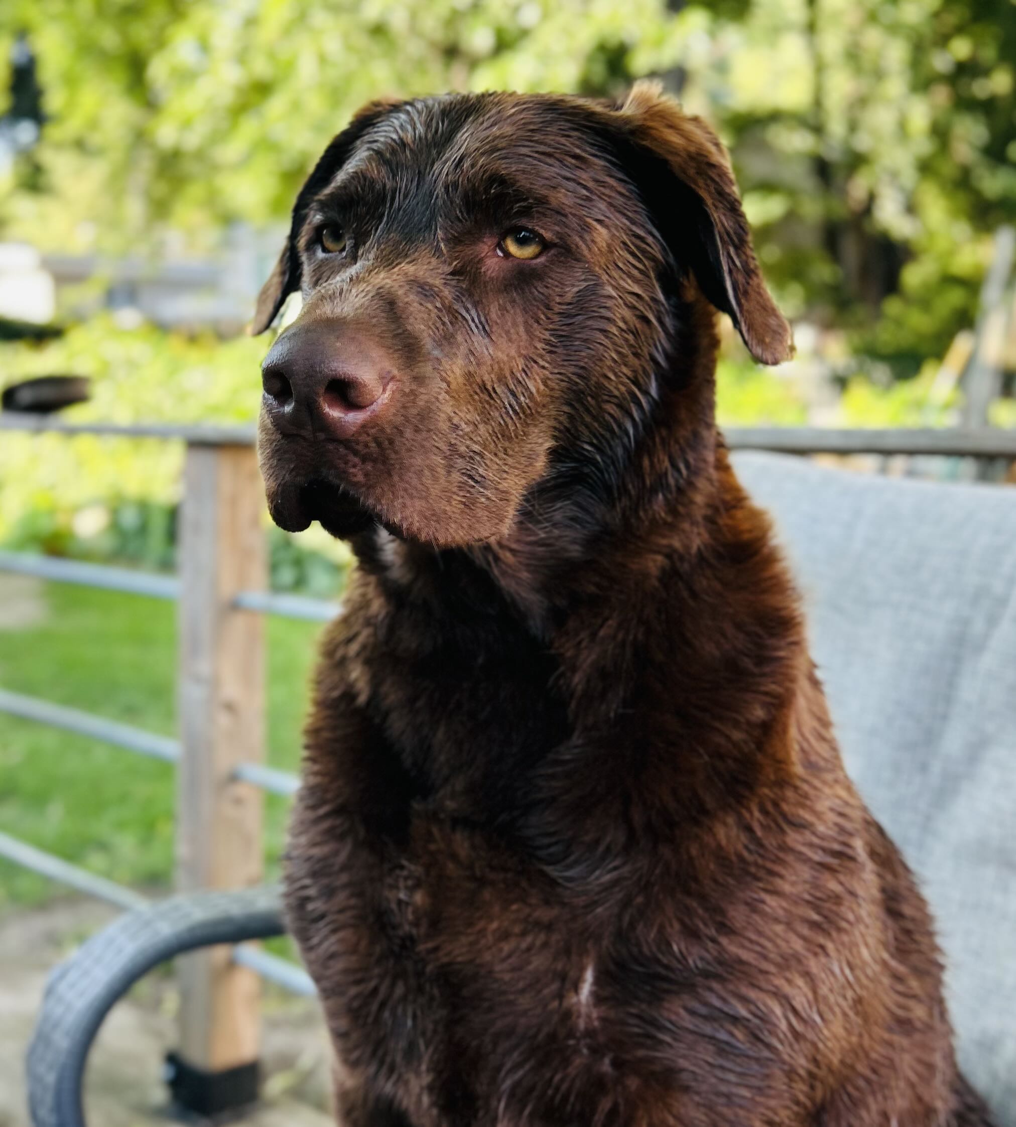 mike.boudreau1 on One Bite Pizza App