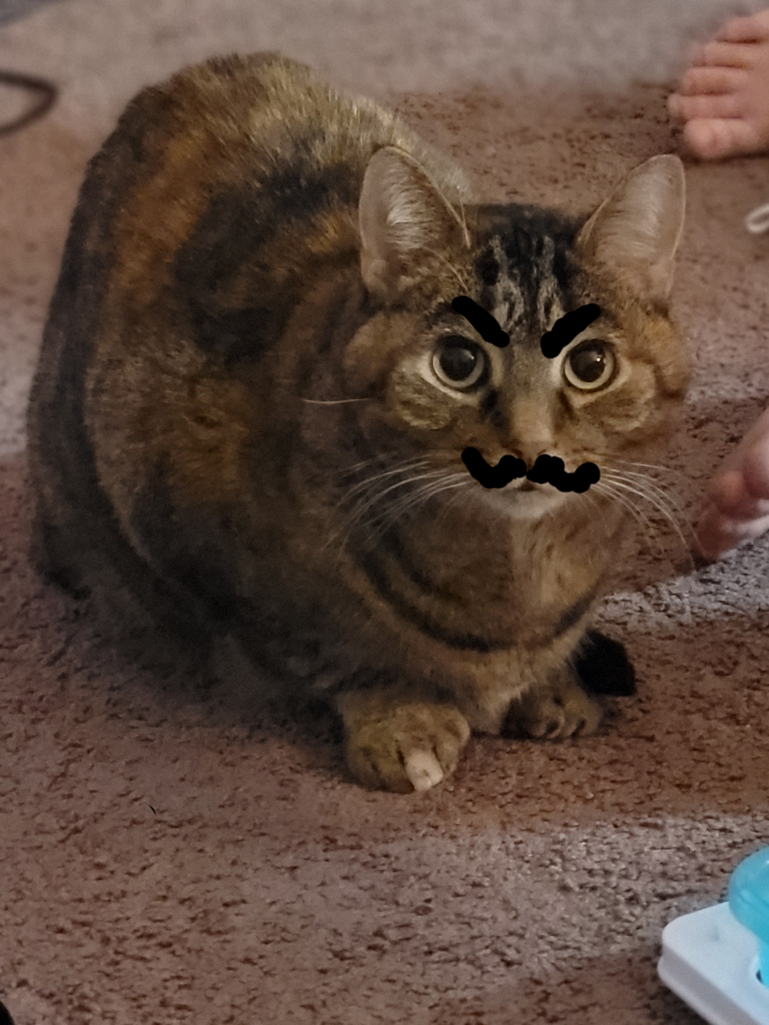 creampiejackson on One Bite Pizza App