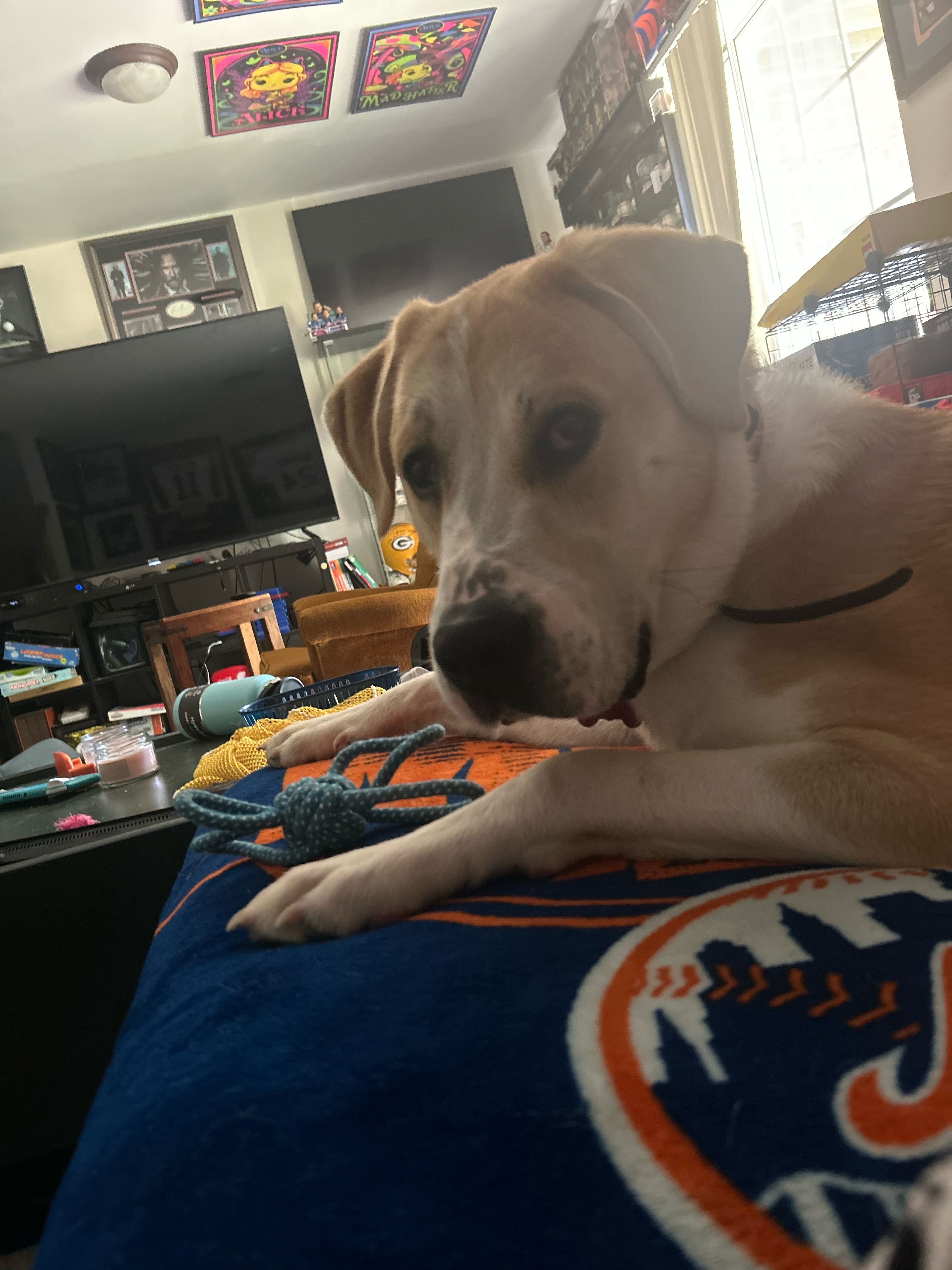 cullan.graham on One Bite Pizza App