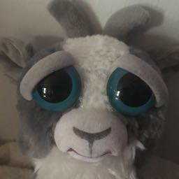 bob.bump on One Bite Pizza App