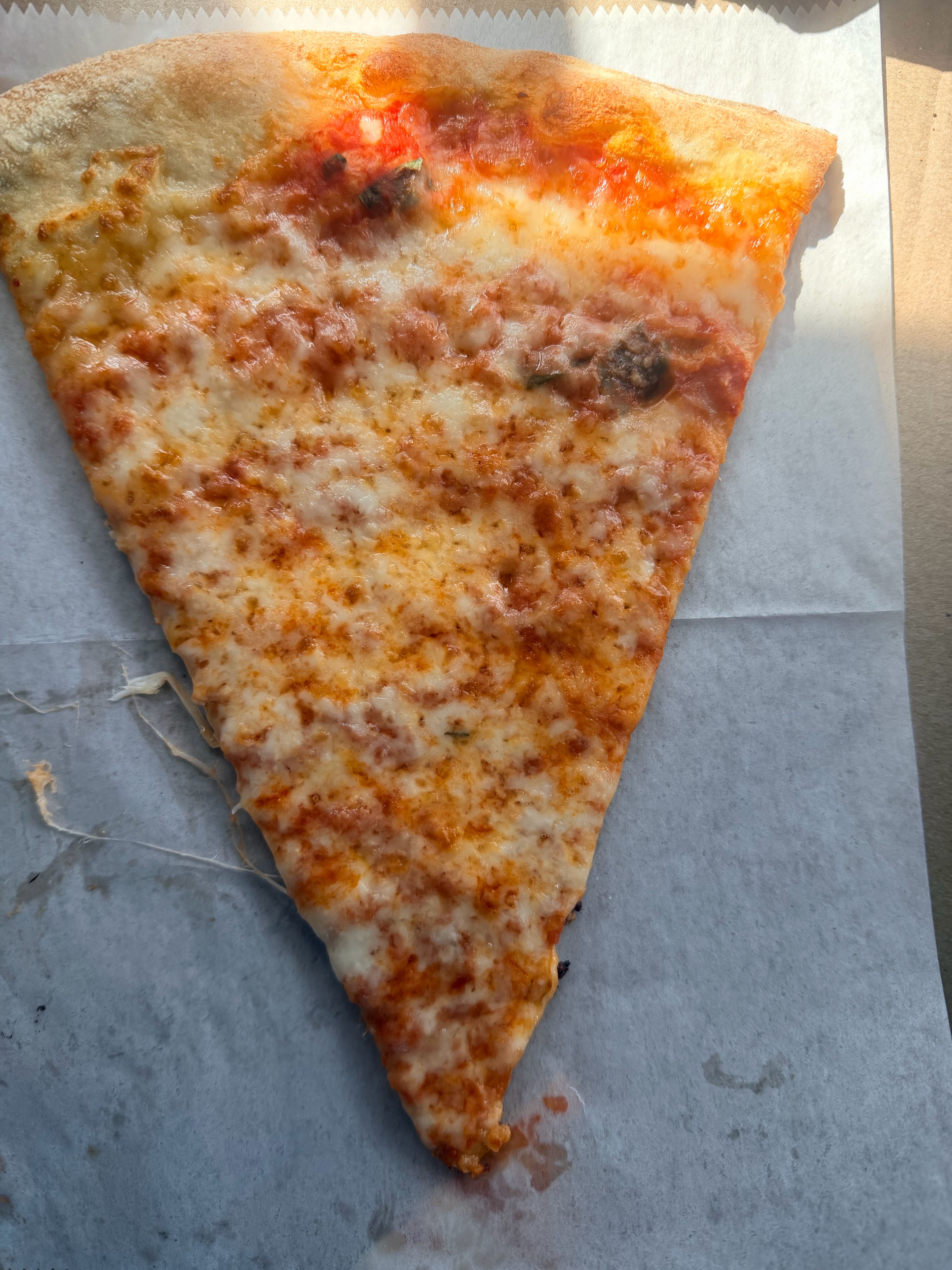 Pizza Review