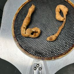 chris.cringle1 on One Bite Pizza App