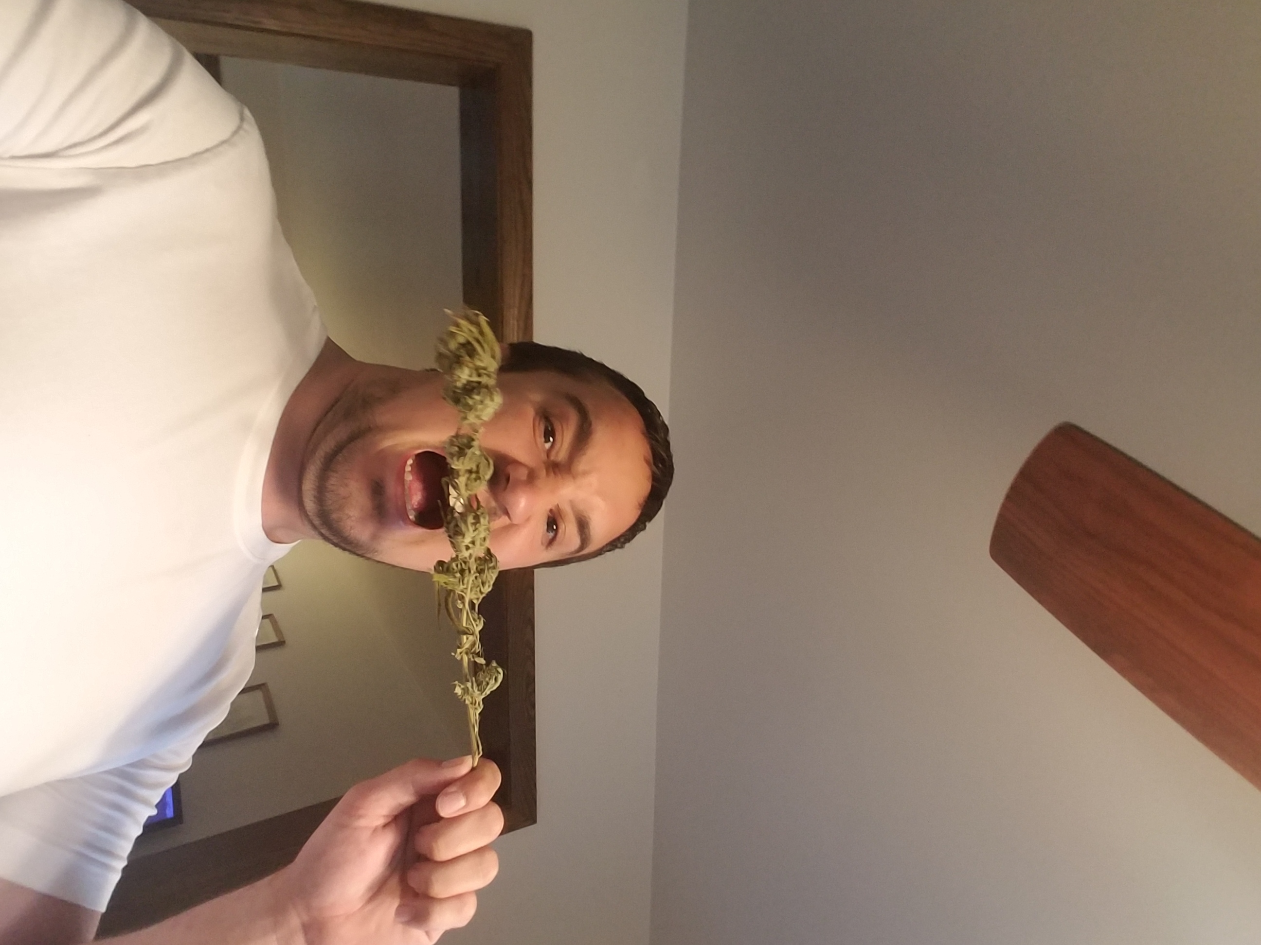 shawn.kennedy1 on One Bite Pizza App