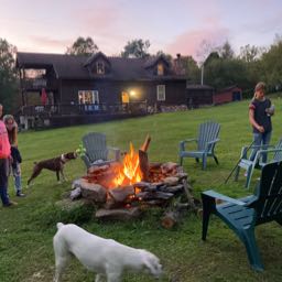 robert.taddei on One Bite Pizza App