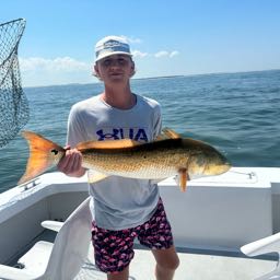 evan.schwartz1 on One Bite Pizza App