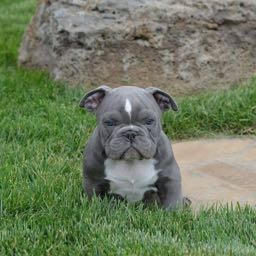 larry.zab on One Bite Pizza App