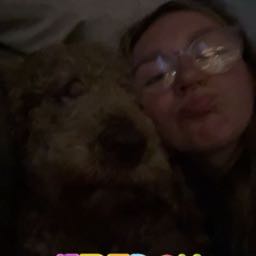 alexa.chess on One Bite Pizza App