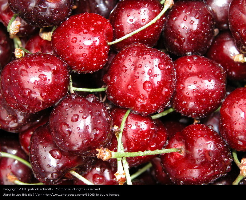 stryker on One Bite Pizza App