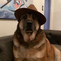 axel.erik on One Bite Pizza App