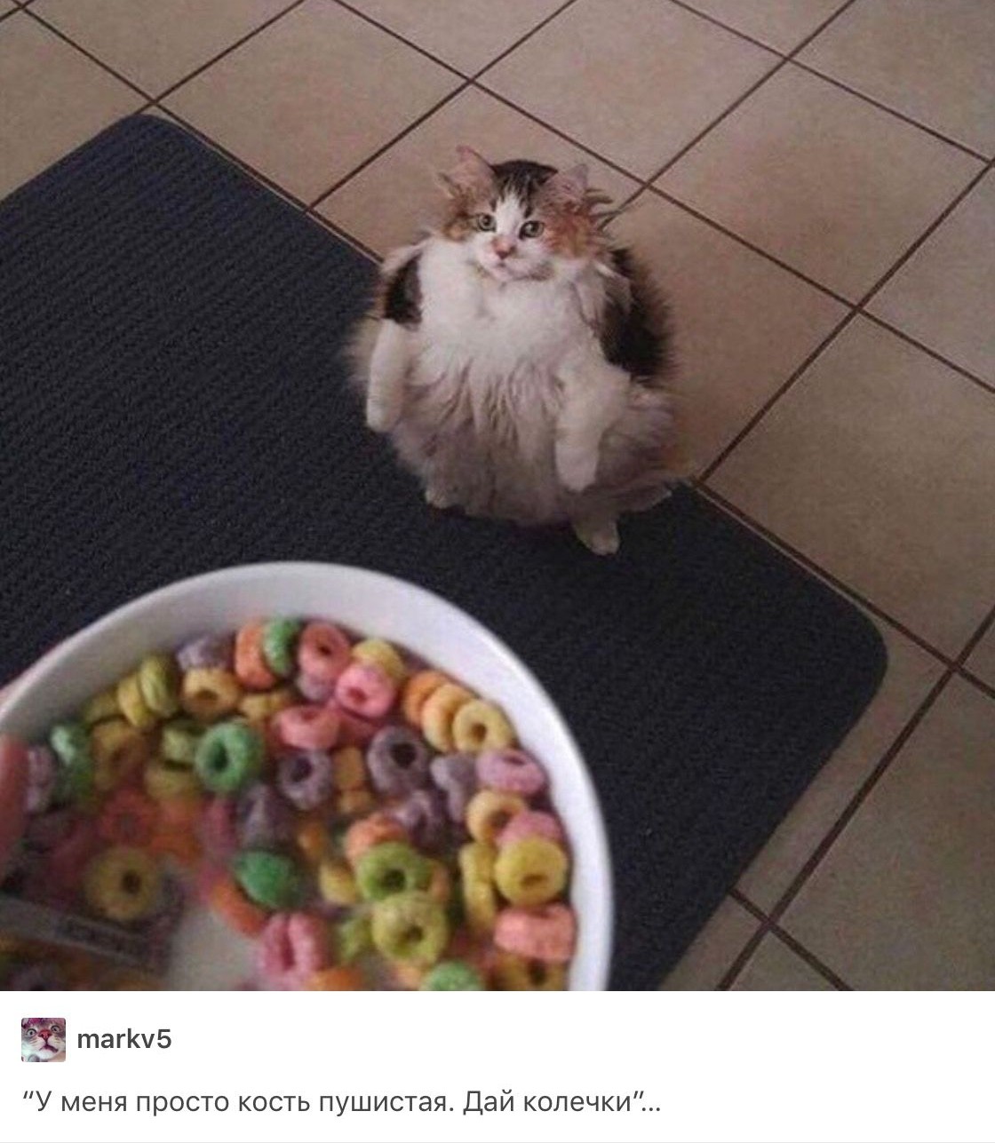 matthew.solc on One Bite Pizza App