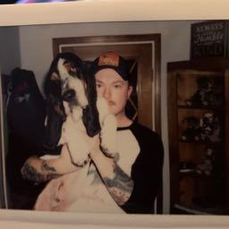 tylerlanderson on One Bite Pizza App