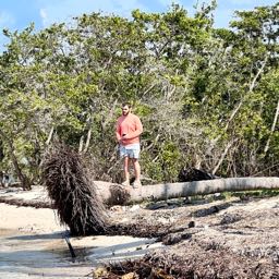 pandahugger on One Bite Pizza App