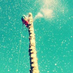 brandon.ring1 on One Bite Pizza App