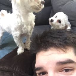 michael.erosenko on One Bite Pizza App