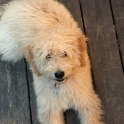 grace.faulkner on One Bite Pizza App