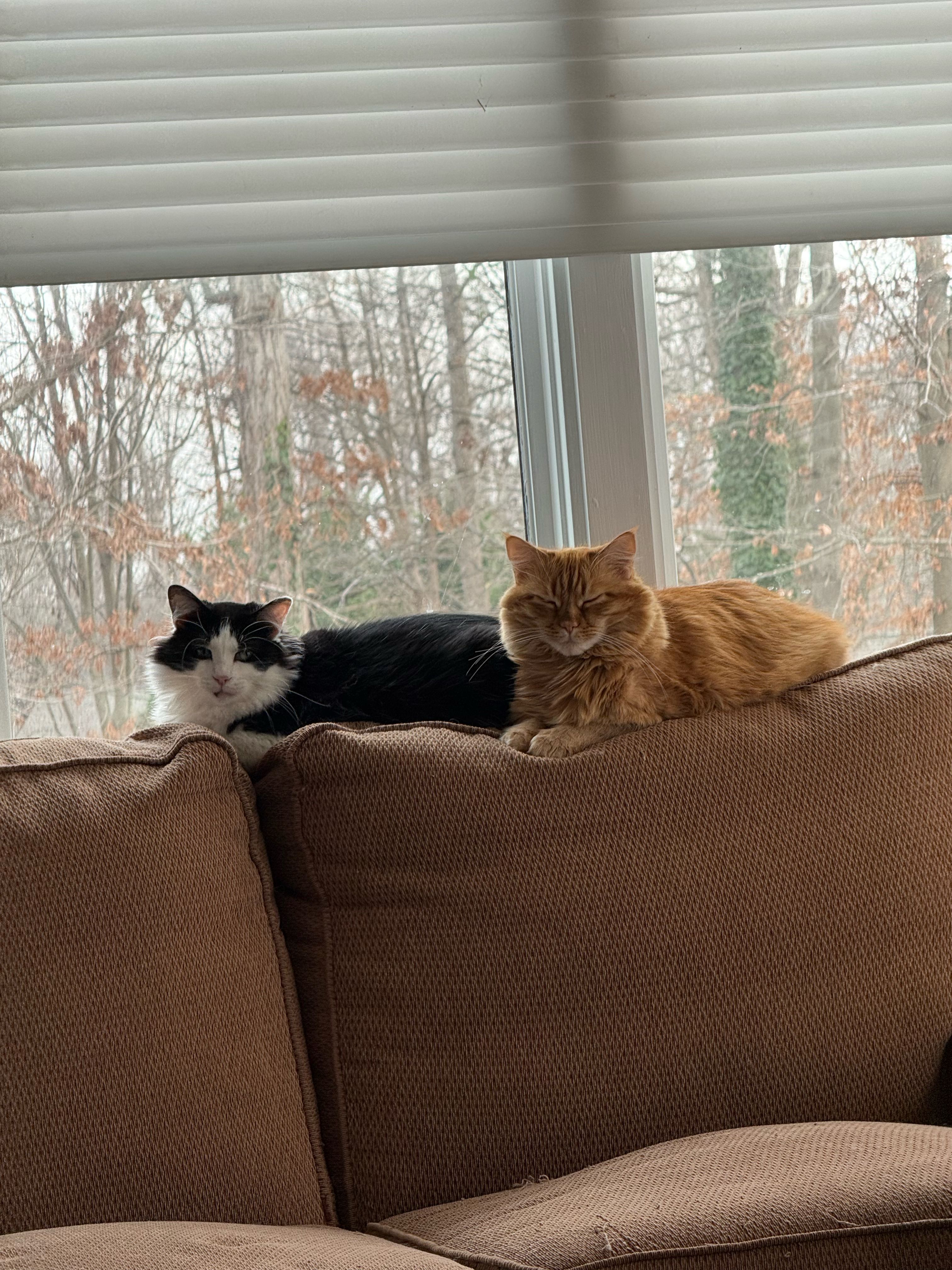 g2eats on One Bite Pizza App