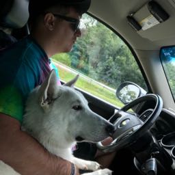 dave.hossage on One Bite Pizza App