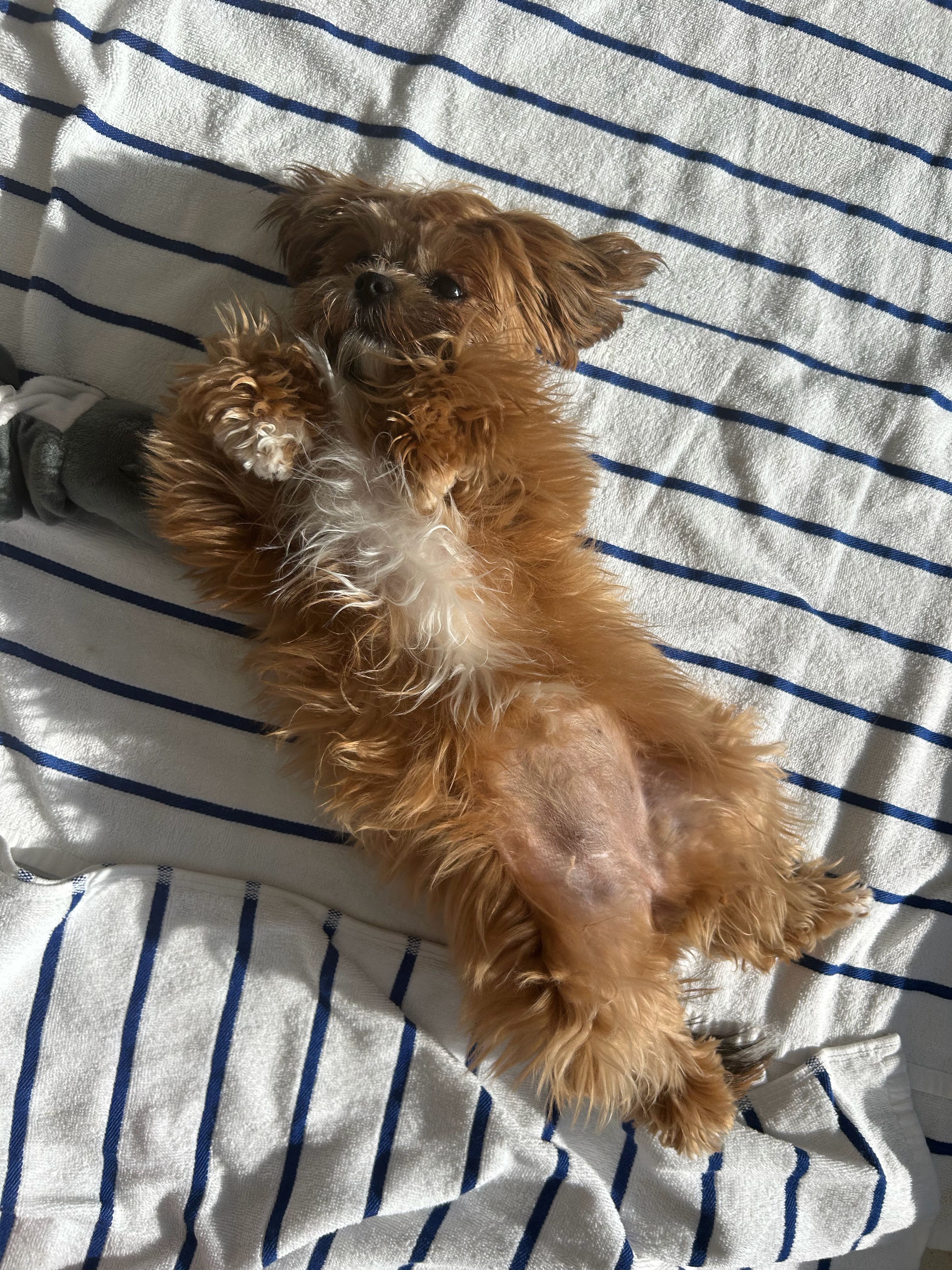 eddie.orlin on One Bite Pizza App