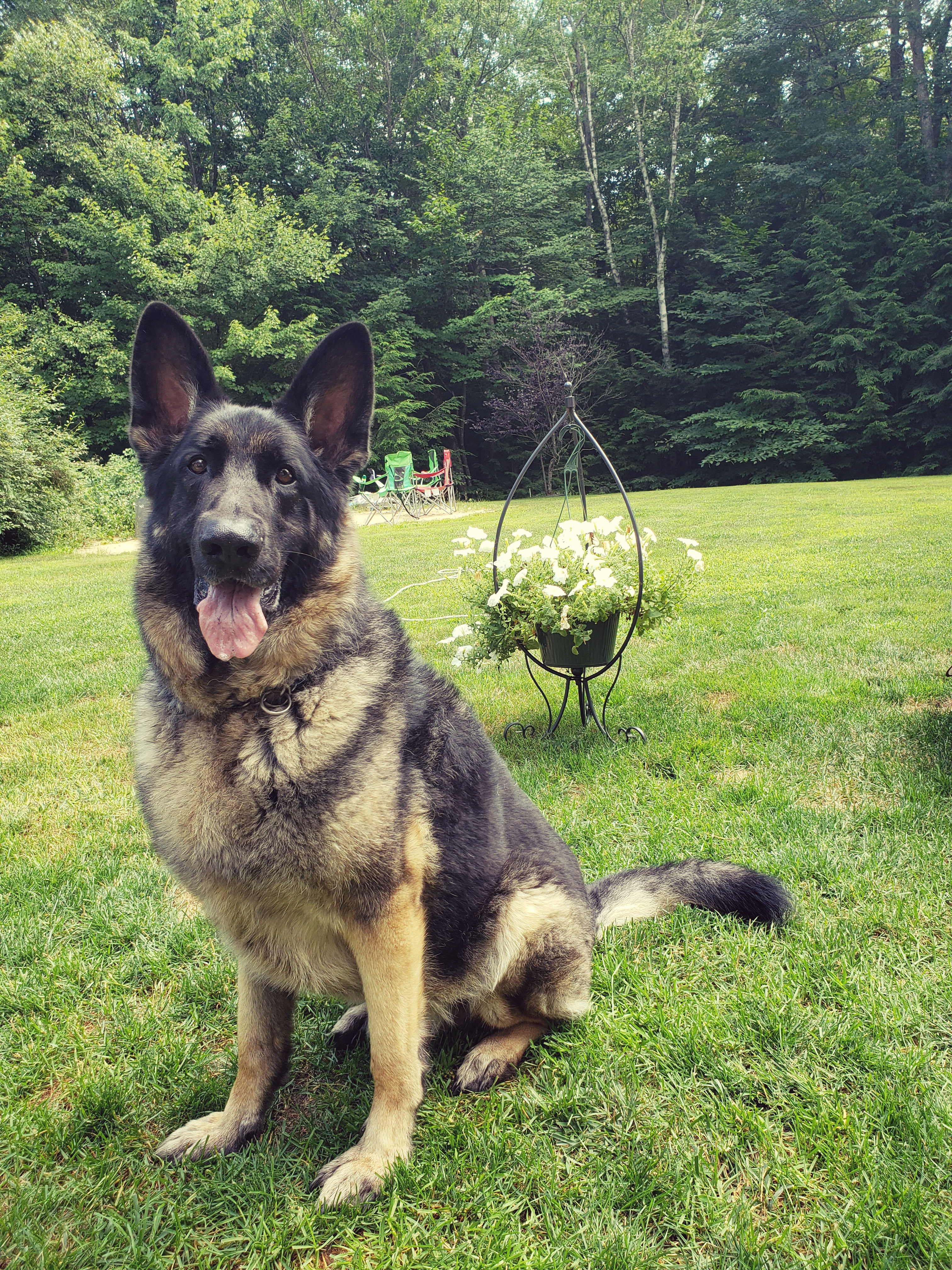 reecew27 on One Bite Pizza App