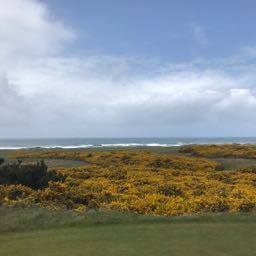 doctorhardway on One Bite Pizza App