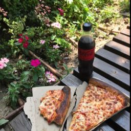 pizzaincognita on One Bite Pizza App