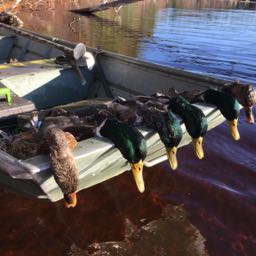 charlie.oleinik on One Bite Pizza App