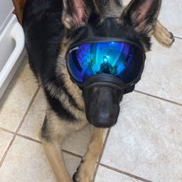 martin.harm on One Bite Pizza App