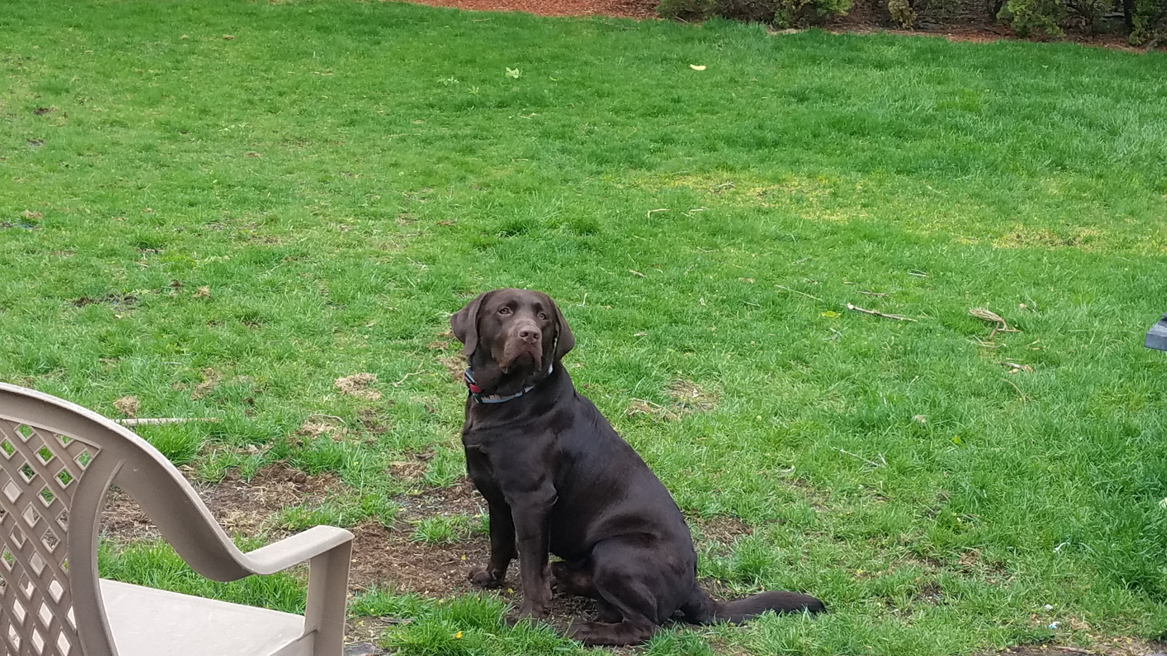 rich.jenkins1 on One Bite Pizza App