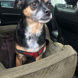 mike222 on One Bite Pizza App