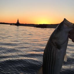 luke.azevedo on One Bite Pizza App