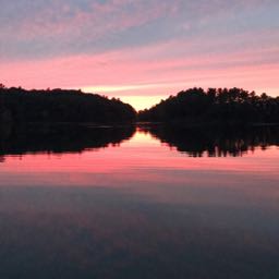 mike.gaudet2 on One Bite Pizza App