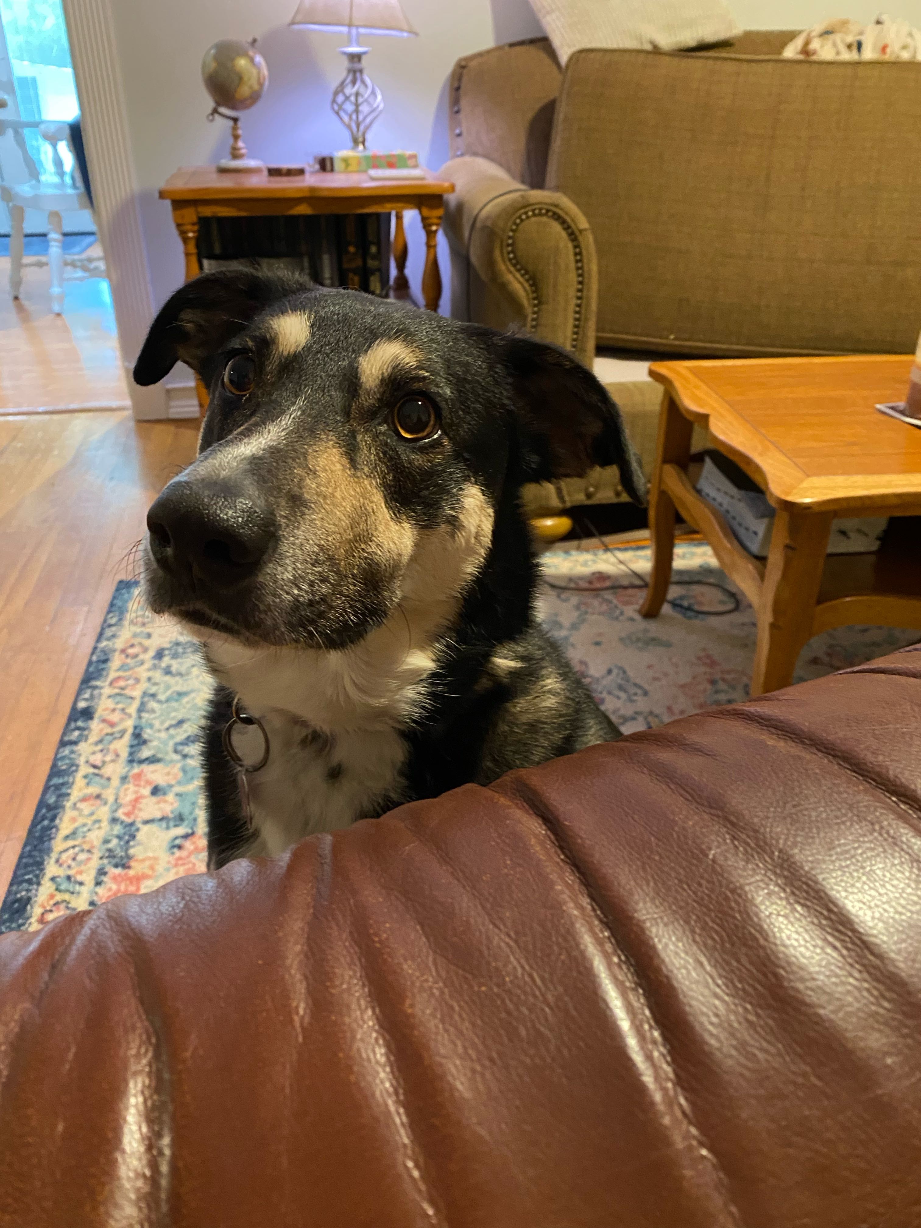 kyle.r5 on One Bite Pizza App