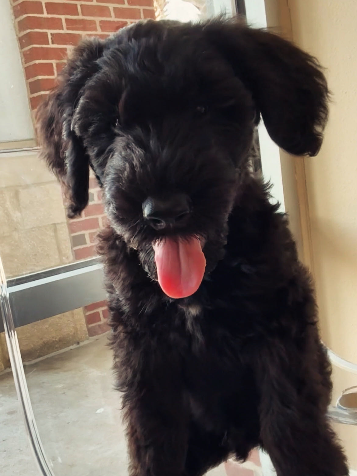 deelopizza on One Bite Pizza App