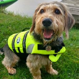 mikejones on One Bite Pizza App