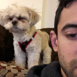 joetammaro on One Bite Pizza App