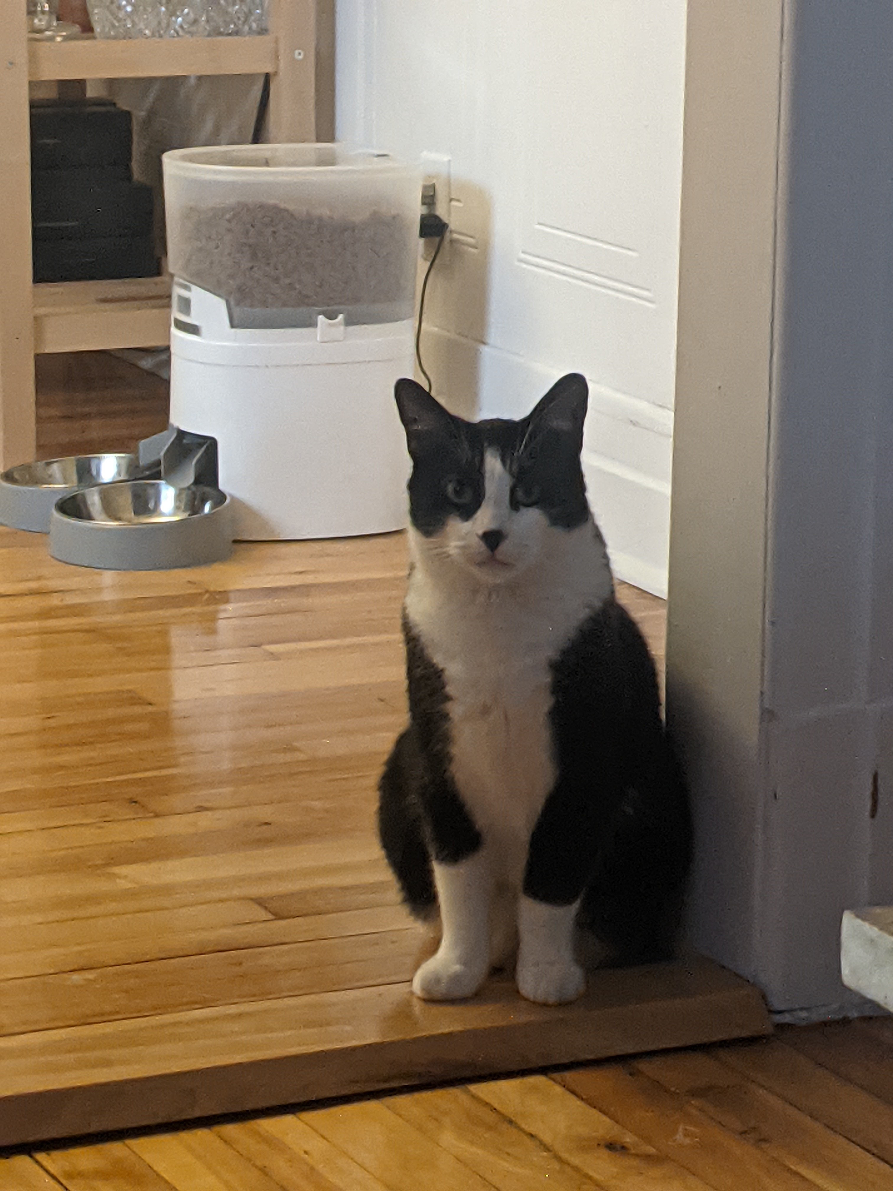 marc-antoine.dube on One Bite Pizza App